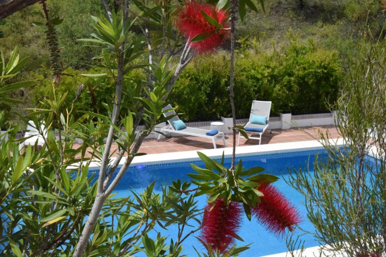 B&B And Apartments Cortijo La Zapatera Canillas de Aceituno Екстериор снимка