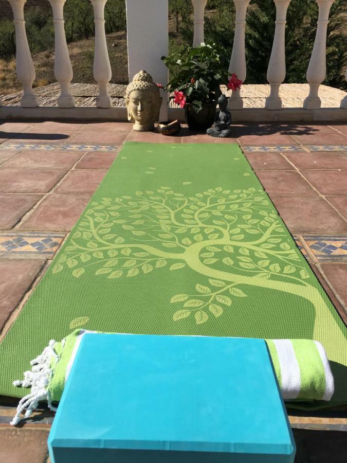 B&B And Apartments Cortijo La Zapatera Canillas de Aceituno Екстериор снимка