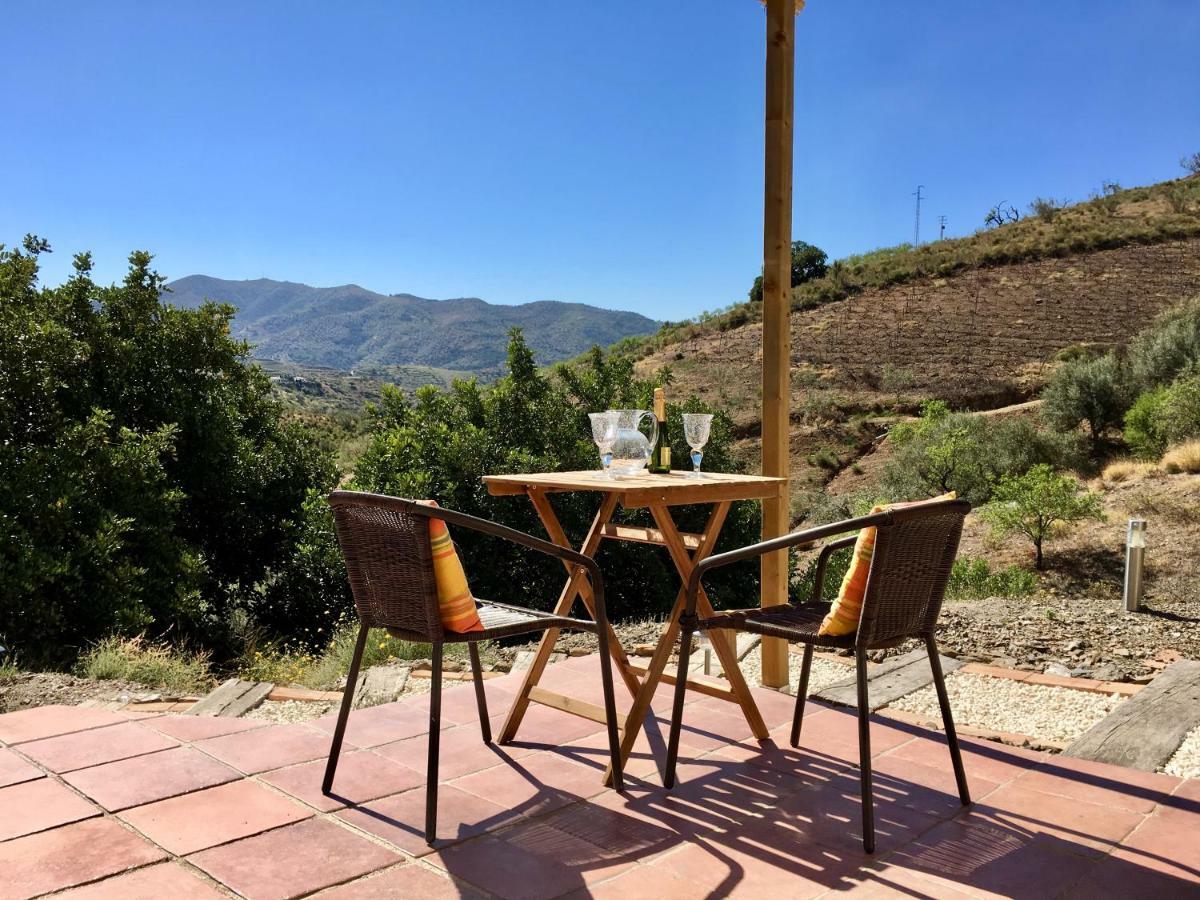B&B And Apartments Cortijo La Zapatera Canillas de Aceituno Екстериор снимка