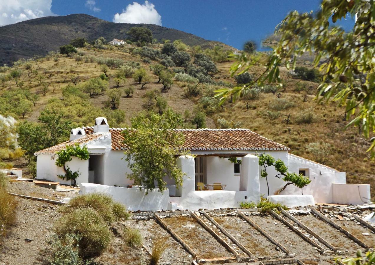 B&B And Apartments Cortijo La Zapatera Canillas de Aceituno Екстериор снимка